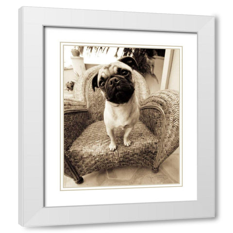 Wonder White Modern Wood Framed Art Print with Double Matting by Dratfield, Jim