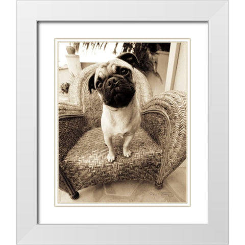 Wonder White Modern Wood Framed Art Print with Double Matting by Dratfield, Jim