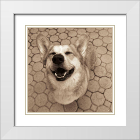 Smile and The World Smiles with You Crop White Modern Wood Framed Art Print with Double Matting by Dratfield, Jim