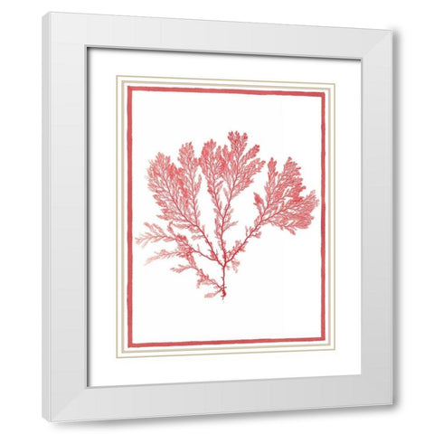 Sea Things I White Modern Wood Framed Art Print with Double Matting by Chilton, Sarah E