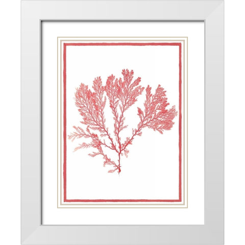 Sea Things I White Modern Wood Framed Art Print with Double Matting by Chilton, Sarah E