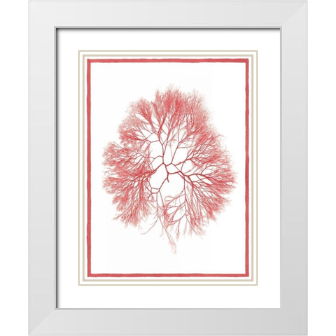 Sea Things IV White Modern Wood Framed Art Print with Double Matting by Chilton, Sarah E