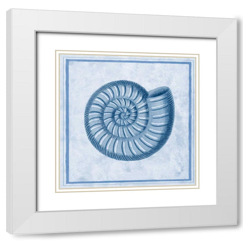 Blue Nautilus A White Modern Wood Framed Art Print with Double Matting by Chilton, Sarah E