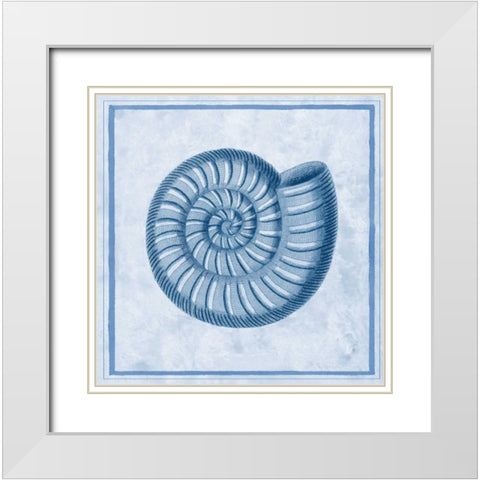 Blue Nautilus A White Modern Wood Framed Art Print with Double Matting by Chilton, Sarah E