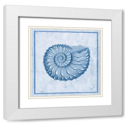 Blue Nautilus C White Modern Wood Framed Art Print with Double Matting by Chilton, Sarah E