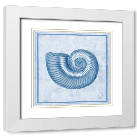 Blue Nautilus D White Modern Wood Framed Art Print with Double Matting by Chilton, Sarah E