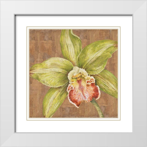 Aloha Beauty II White Modern Wood Framed Art Print with Double Matting by Shelby, Judy
