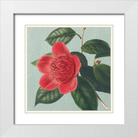 Peony White Modern Wood Framed Art Print with Double Matting by Chilton, Sarah E