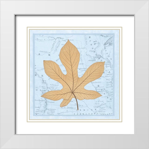 Natures Profile A White Modern Wood Framed Art Print with Double Matting by Bannister, Cory