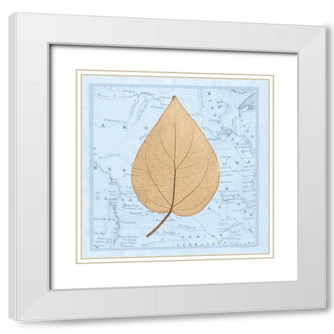 Natures Profile D White Modern Wood Framed Art Print with Double Matting by Bannister, Cory