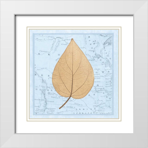 Natures Profile D White Modern Wood Framed Art Print with Double Matting by Bannister, Cory