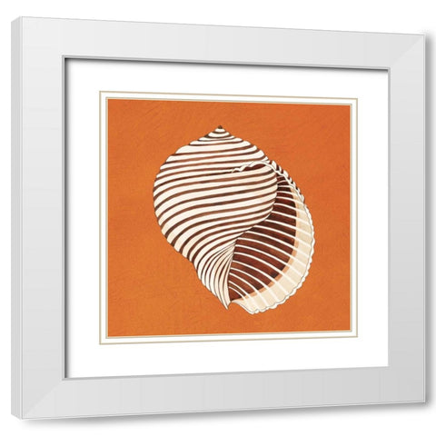 Cayman Quartet A White Modern Wood Framed Art Print with Double Matting by Shelby, Judy