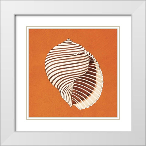 Cayman Quartet A White Modern Wood Framed Art Print with Double Matting by Shelby, Judy