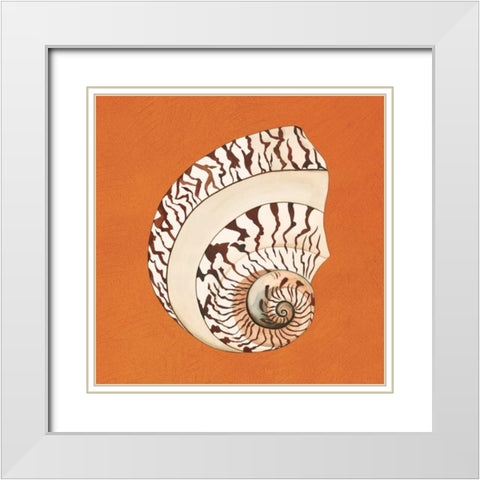 Cayman Quartet B White Modern Wood Framed Art Print with Double Matting by Shelby, Judy