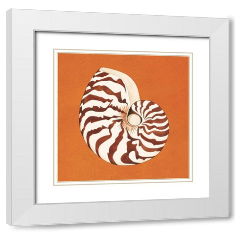 Cayman Quartet C White Modern Wood Framed Art Print with Double Matting by Shelby, Judy