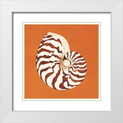 Cayman Quartet C White Modern Wood Framed Art Print with Double Matting by Shelby, Judy