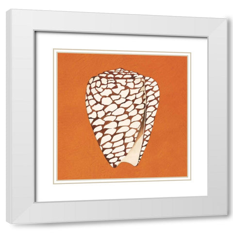 Cayman Quartet D White Modern Wood Framed Art Print with Double Matting by Shelby, Judy