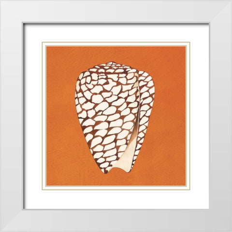 Cayman Quartet D White Modern Wood Framed Art Print with Double Matting by Shelby, Judy