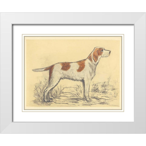 Hunting Dogs-Griffon White Modern Wood Framed Art Print with Double Matting by Collot, Andres