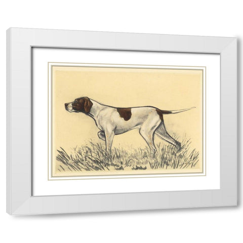 Hunting Dogs-Pointer White Modern Wood Framed Art Print with Double Matting by Collot, Andres