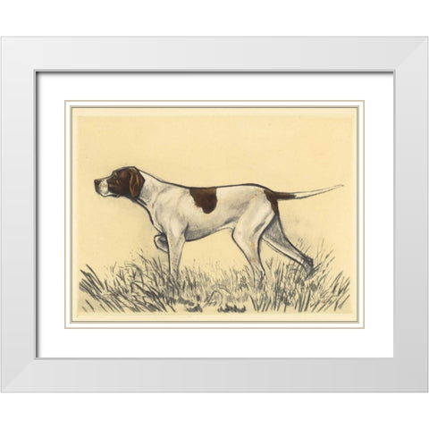 Hunting Dogs-Pointer White Modern Wood Framed Art Print with Double Matting by Collot, Andres