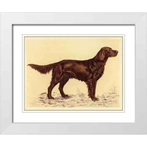 Hunting Dogs-Setter White Modern Wood Framed Art Print with Double Matting by Collot, Andres