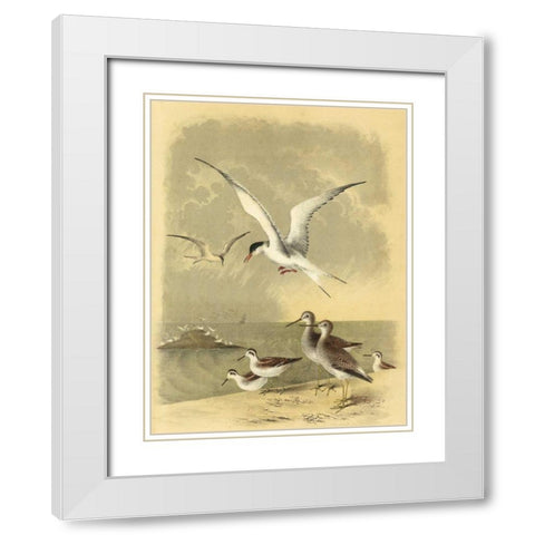 Coastal Dwellers I White Modern Wood Framed Art Print with Double Matting by Steele, Horace