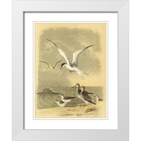 Coastal Dwellers I White Modern Wood Framed Art Print with Double Matting by Steele, Horace