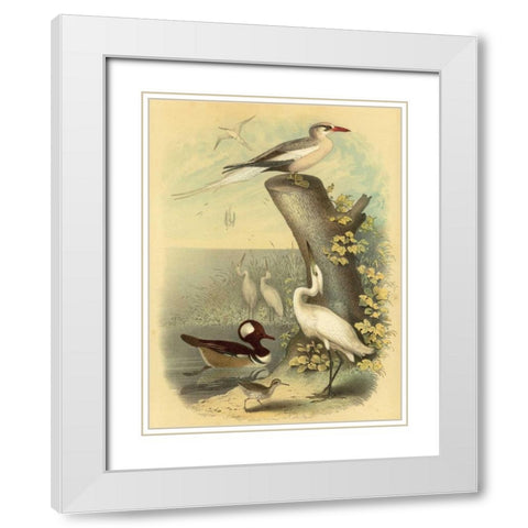 Coastal Dwellers II White Modern Wood Framed Art Print with Double Matting by Steele, Horace