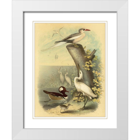 Coastal Dwellers II White Modern Wood Framed Art Print with Double Matting by Steele, Horace