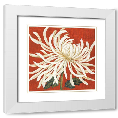 Spider Mum I White Modern Wood Framed Art Print with Double Matting by Shelby, Judy