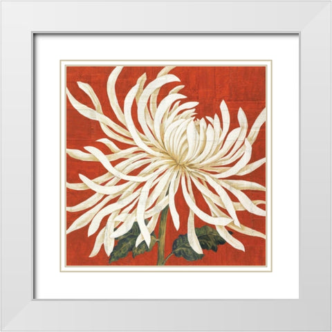 Spider Mum I White Modern Wood Framed Art Print with Double Matting by Shelby, Judy