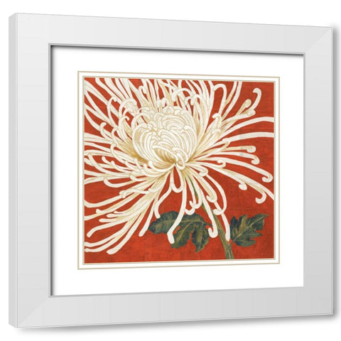 Spider Mum II White Modern Wood Framed Art Print with Double Matting by Shelby, Judy