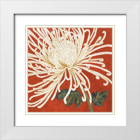 Spider Mum II White Modern Wood Framed Art Print with Double Matting by Shelby, Judy