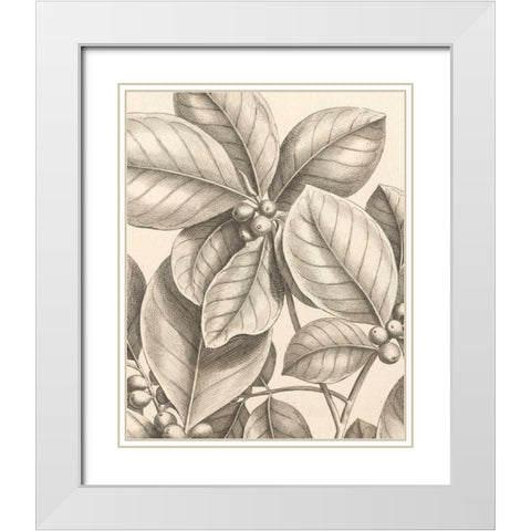 Tropical Connection I White Modern Wood Framed Art Print with Double Matting by Van Houtte, Louis