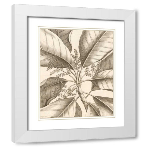 Tropical Connection II White Modern Wood Framed Art Print with Double Matting by Van Houtte, Louis