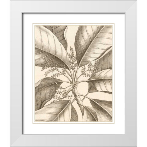 Tropical Connection II White Modern Wood Framed Art Print with Double Matting by Van Houtte, Louis