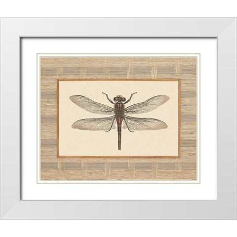 Delicate Dancer I White Modern Wood Framed Art Print with Double Matting by Chilton, Sarah E