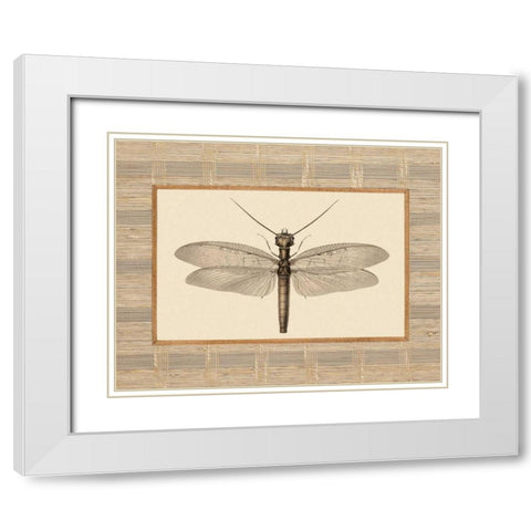 Delicate Dancer II White Modern Wood Framed Art Print with Double Matting by Chilton, Sarah E