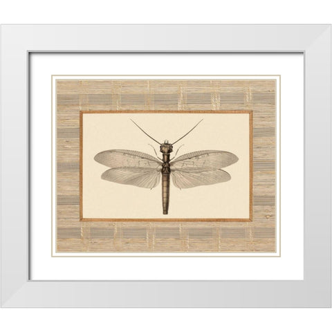 Delicate Dancer II White Modern Wood Framed Art Print with Double Matting by Chilton, Sarah E
