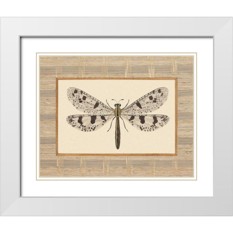 Delicate Dancer III White Modern Wood Framed Art Print with Double Matting by Chilton, Sarah E