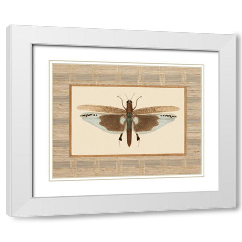 Delicate Dancer IV White Modern Wood Framed Art Print with Double Matting by Chilton, Sarah E