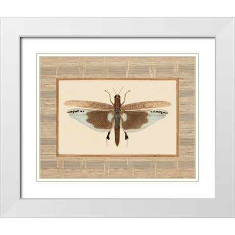 Delicate Dancer IV White Modern Wood Framed Art Print with Double Matting by Chilton, Sarah E