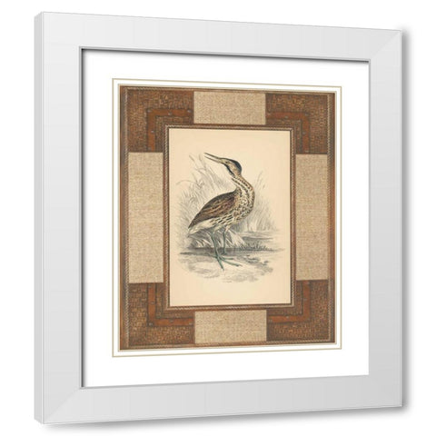 Marshland Bittern White Modern Wood Framed Art Print with Double Matting by Reynolds, Alastair