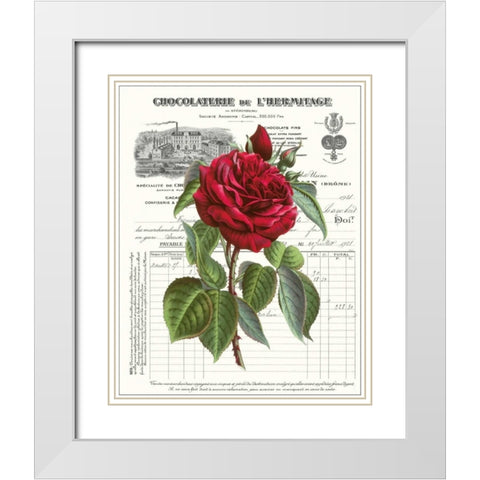 Heirloom Roses A White Modern Wood Framed Art Print with Double Matting by Chilton, Sarah E