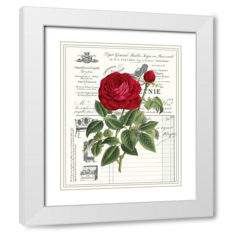 Heirloom Roses B White Modern Wood Framed Art Print with Double Matting by Chilton, Sarah E