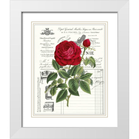 Heirloom Roses B White Modern Wood Framed Art Print with Double Matting by Chilton, Sarah E