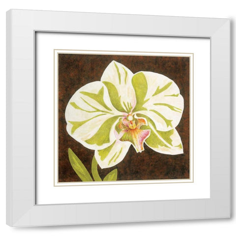 Surabaya Orchid Petites A White Modern Wood Framed Art Print with Double Matting by Shelby, Judy