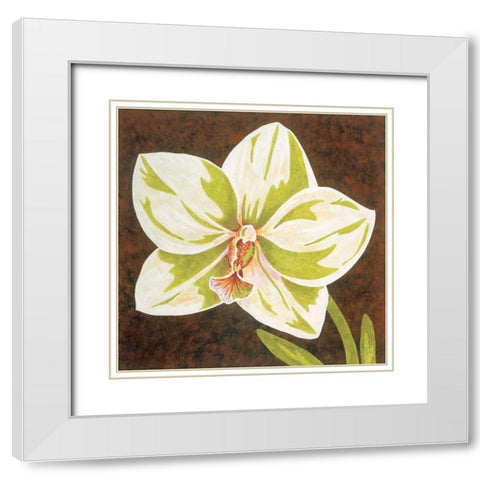 Surabaya Orchid Petites B White Modern Wood Framed Art Print with Double Matting by Shelby, Judy