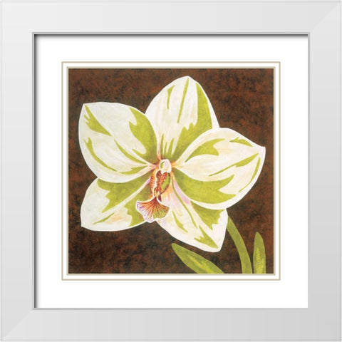 Surabaya Orchid Petites B White Modern Wood Framed Art Print with Double Matting by Shelby, Judy